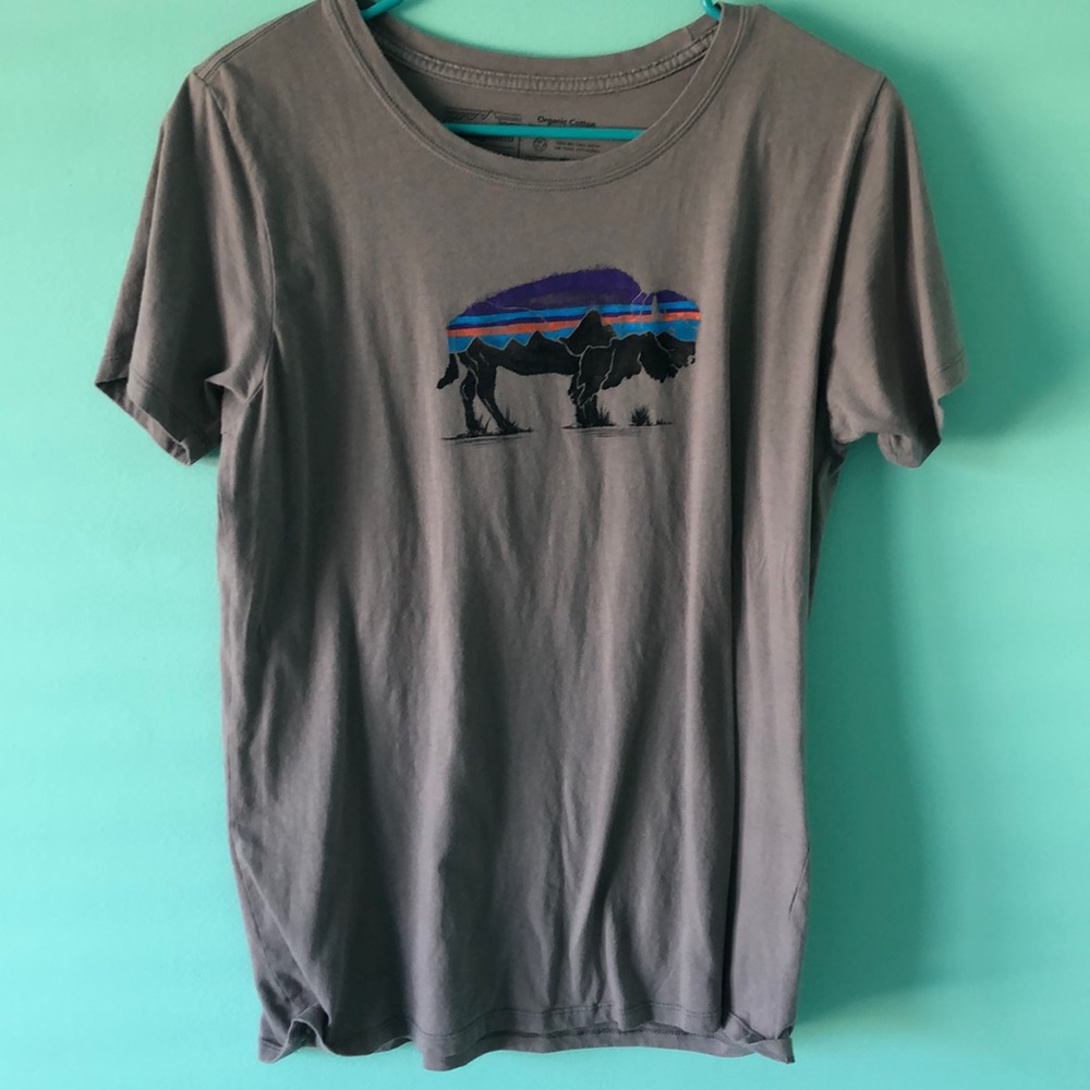 Patagonia shirt